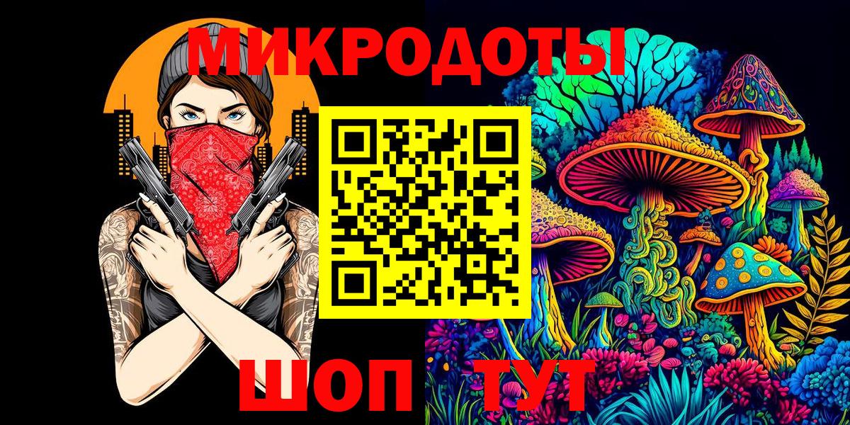 Галлюциногенные грибы Psilocybe  Вход с VPN  Вичуга 